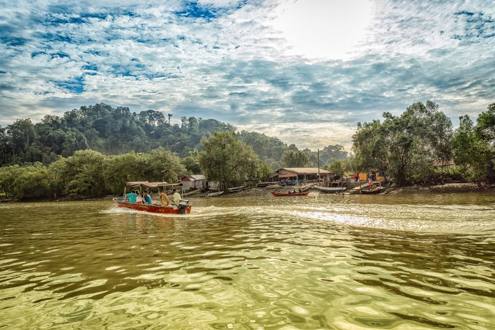 Borneo Bako National Park