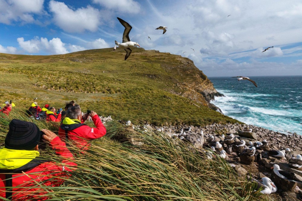 hx cruise guests birdwatching in the galapagos