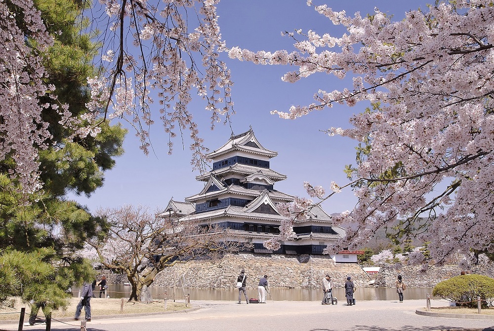 Matsumoto Caste with Cherry Blossoms