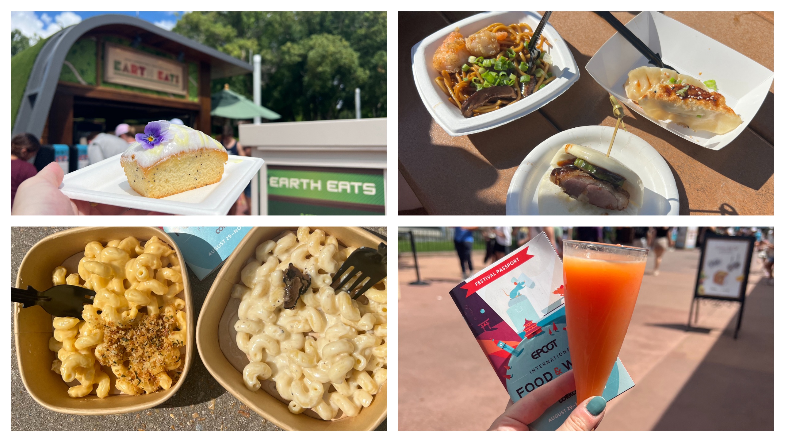 epcot food & wine festival