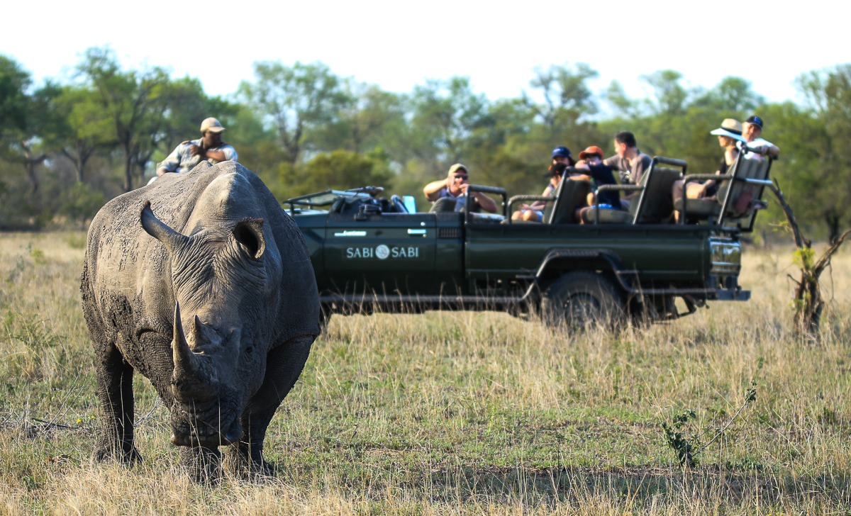 Safari Rhino encounter. Photo: African Travel, Inc.