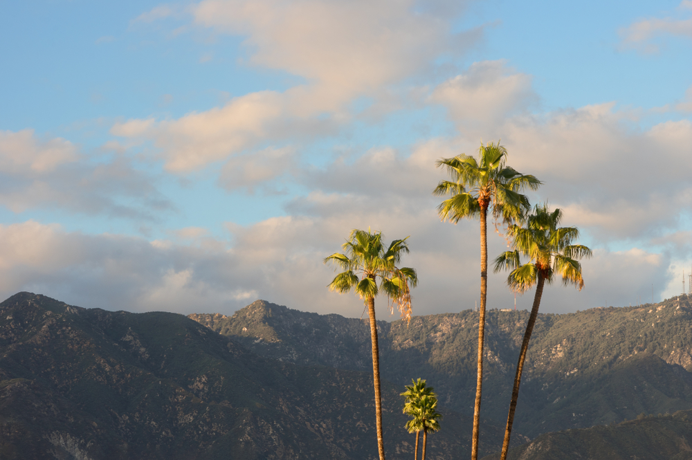 los angeles fires pasadena california