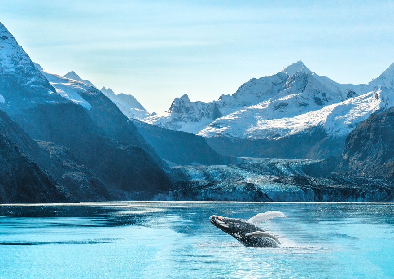 Expedition Cruise Is Travel&#8217;s Fastest Growing Segment: What Advisors Should Know