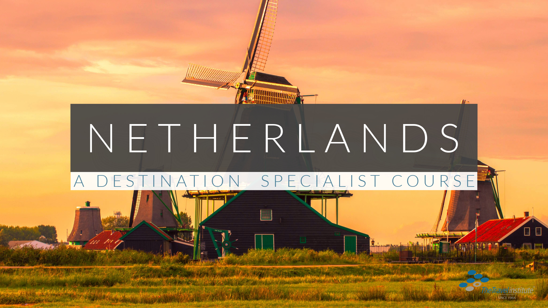 netherlands specialist course