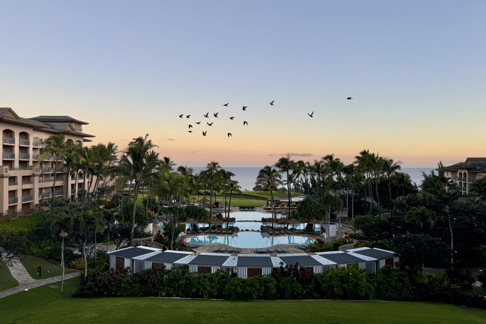 the ritz-carlton maui in Kapalua hawaii